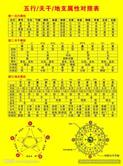 面相下巴的9种类型及其命理含义