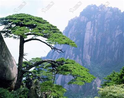 如何选择装修吉日？最详细择日指南