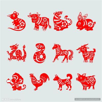 属猪的最佳配对生肖及健康分析